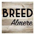 Algemene informatie van kunsthagen! Restaurant wereldkeuken breed almere